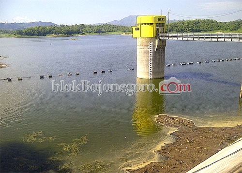 Air di Waduk Pacal Belum Maksimal Aliri Lahan Pertanian